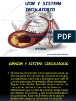 Sistema Circulatorio