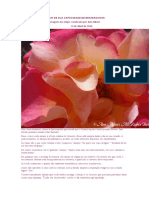 AS ROSAS NÃO DUVIDAM DE SUA CAPACIDADE DE DESABROCHAR.docx