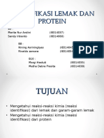 Identifikasi Lemak Dan Protein