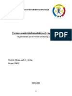 Referattmns PDF