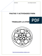 ATENCION DISPERSA.pdf