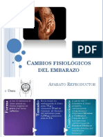 CAMBIOS FISIOLOGICOAEN EL EMBARAZO.pdf