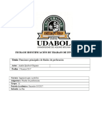 MODELO-TRABAJO-analia-fluidos-1.docx