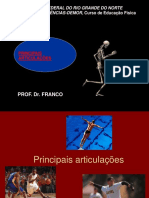 PRINCIPAIS_ARTICULAOES