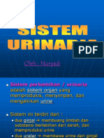 8 Sistem Urinaria