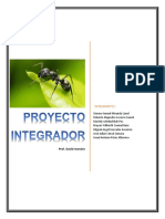 Proyecto Integrador Revista