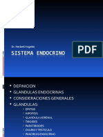 Clase Histologia ENDOCRINO