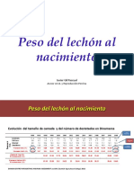 Peso Del Lechón Al Nacimiento1387376725870