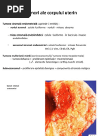 Patologia Aparatului Genital Feminin2017 - Partea a Doua (1)