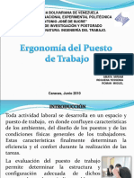 Ergonomia Del Puesto de Trabajo