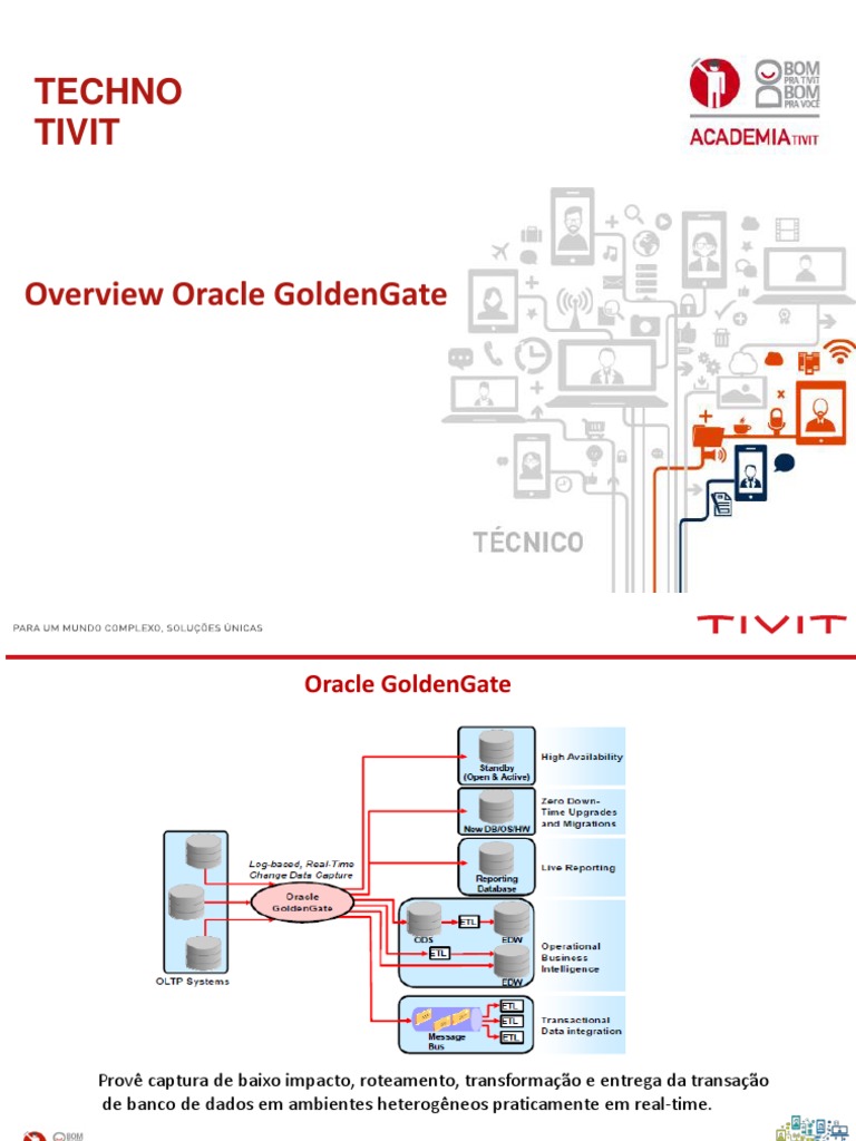 Visão Geral do Oracle GoldenGate | PDF | Processo (informática) | Suíte ...
