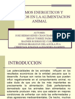 Insumos energéticos y proteicos en la alimentación animal