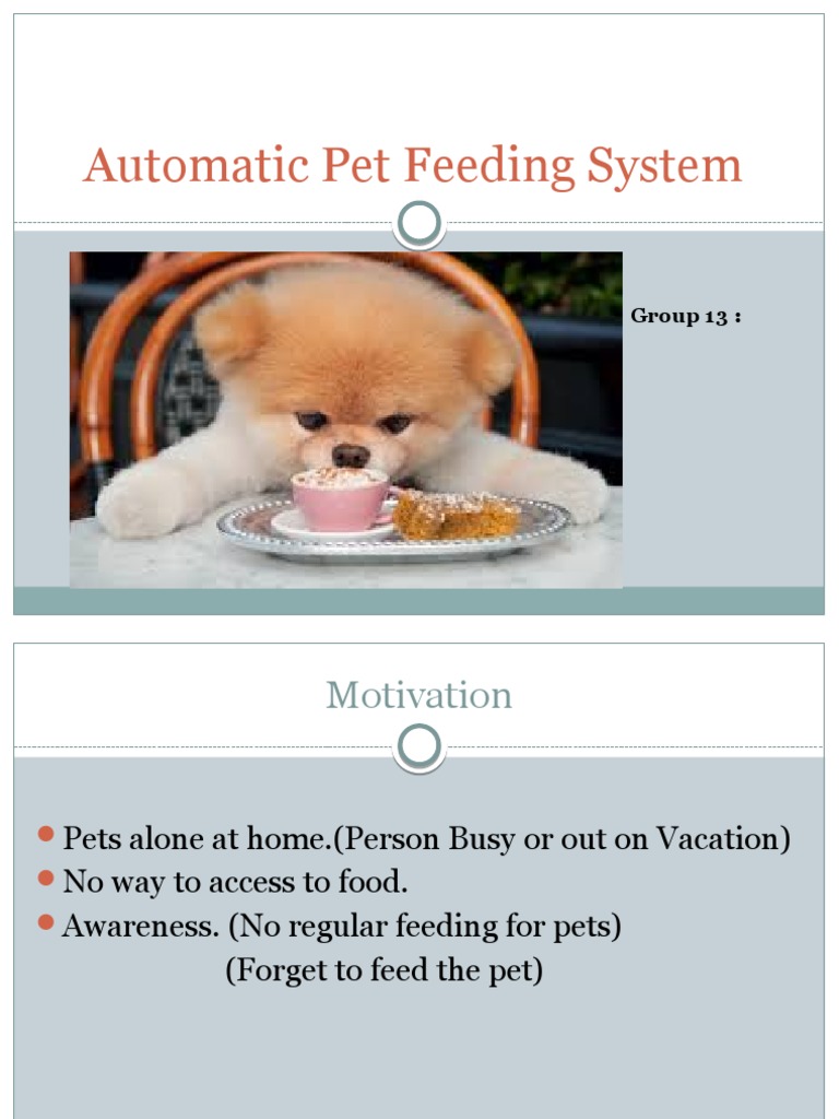 Automatic Pet Feeding System Group 13 PDF