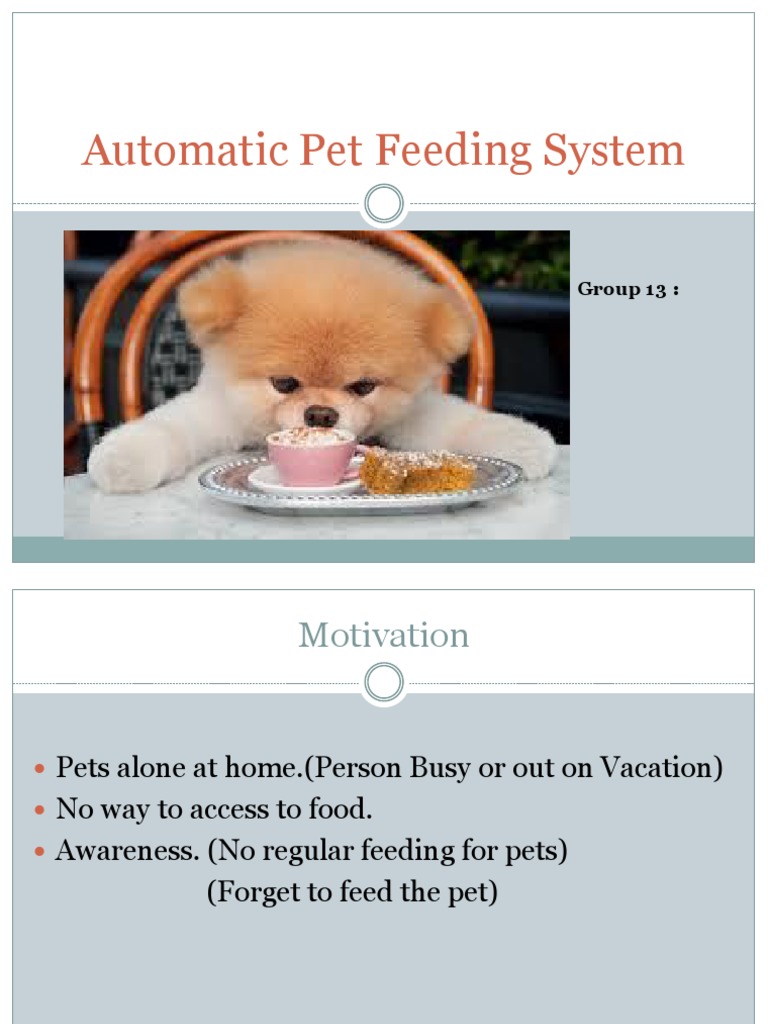 Smart Automatic Pet Feeder System | PDF - Pet Feeding System With Sensors