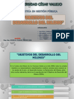 Diapositivas Maestria Objetivos Del Milenio