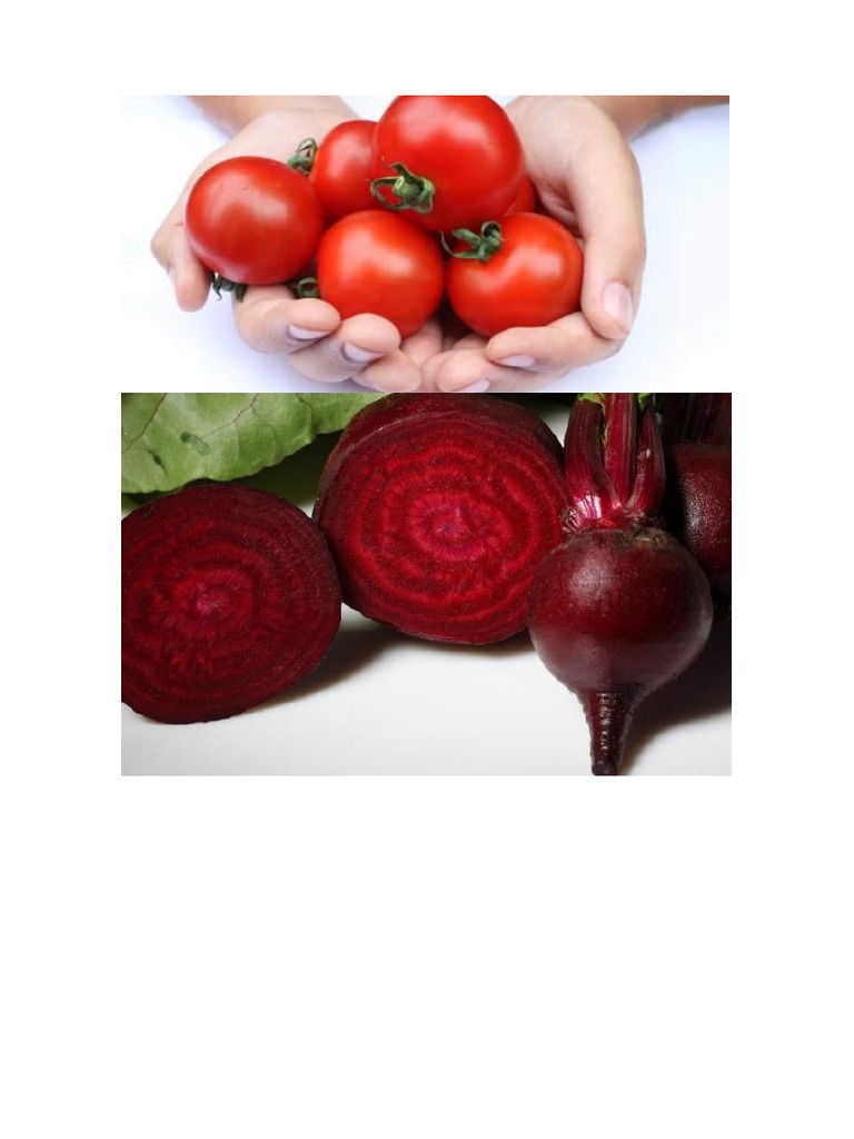 Resveratrol PDF Câncer Diabetes mellitus