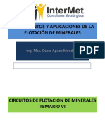 VI - CIRCUITOS DE FLOTACION.pdf
