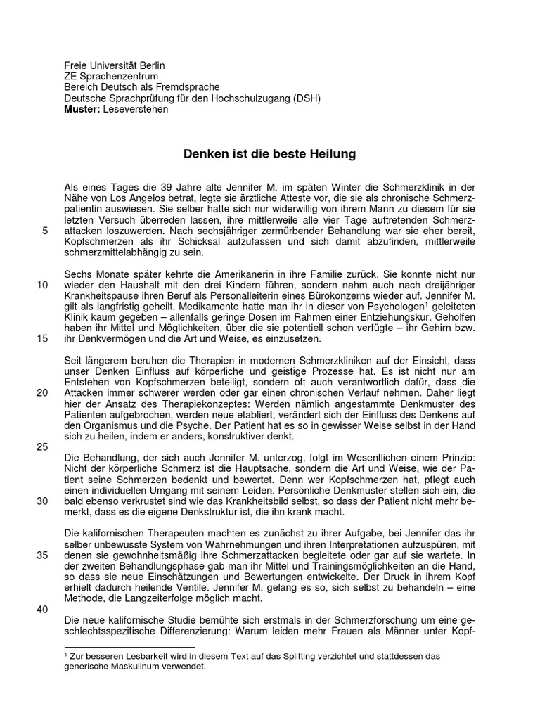 DSH Muster LV Text