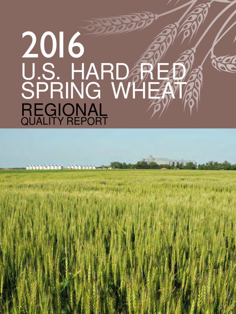 2016 U.S. Hard Red Spring Wheat Report | PDF | Flour | Breads