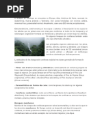 Bosques coníferos