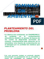 Contaminación Ambiental