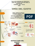Anatomia Del Gusto.presentacion