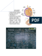 Imagenes de Biologia