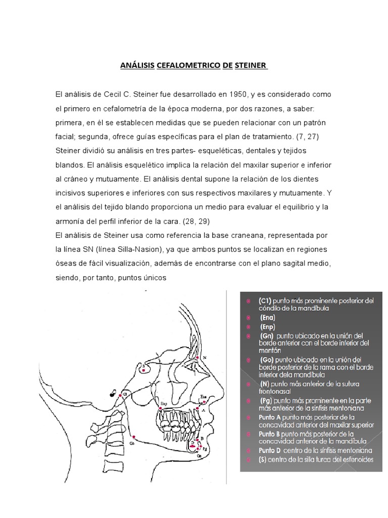 Análisis Cefalometrico de Steiner y MC Namara Orto PDF Cráneo