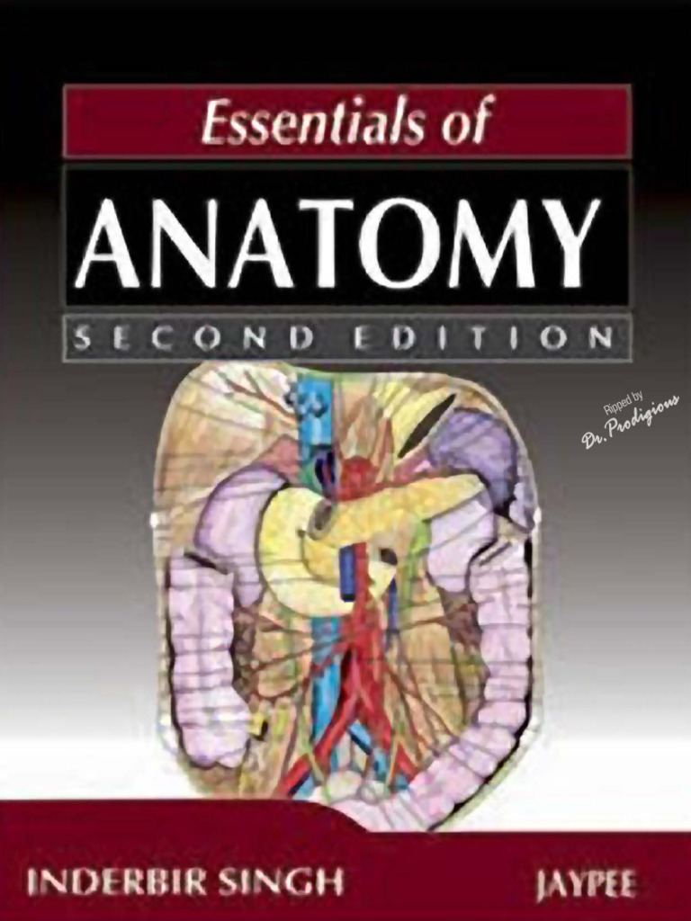 Essentials Of Anatomy  2nd Edition