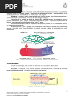 Resumo - Edema e Hiperemia