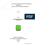 Sintesis Pelapisan Dan Stabilitas Senyawa Oksida Besi Oleh Silika Dan Aplikasinya Untuk Amobilisasi Protein PDF