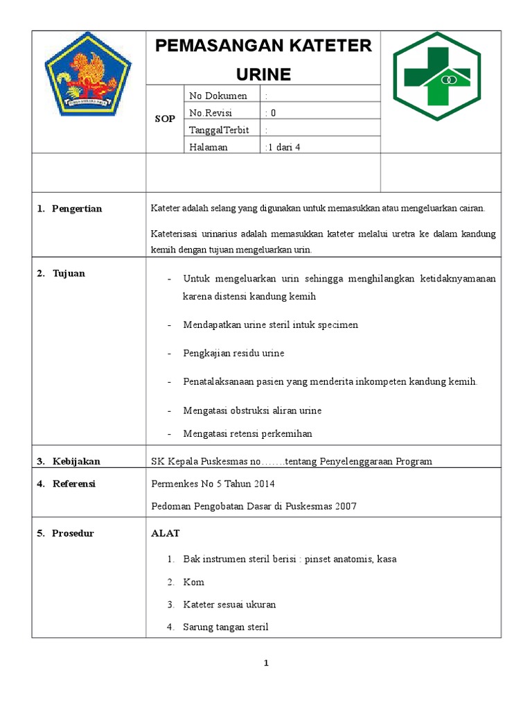 Prosedur Pemasangan Kateter Wanita | PDF | Griya & Taman | Kesehatan ...