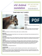 Panther PDF