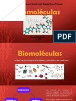 Biomoleculas