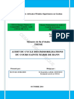 Audit Des Immobilisations Memoire