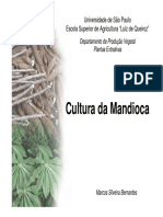 Apostila Slides Mandioca 2011 PDF