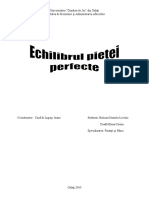 Echilibrul Pietei Perfecte