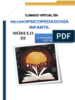 GUÍA DIDÁCTICA Diplomado Neuropsicopedagogìa 