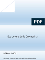 Cromatina Clase Unmsm