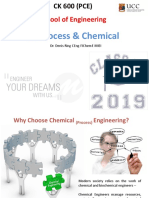 School of Engineering: BE Process & Chemical