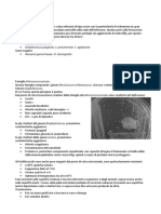 MICROBIOLOGIA Stafilococchi