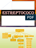 Estreptococo 131115123802 Phpapp02
