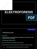 3 UAS Elektroforesis