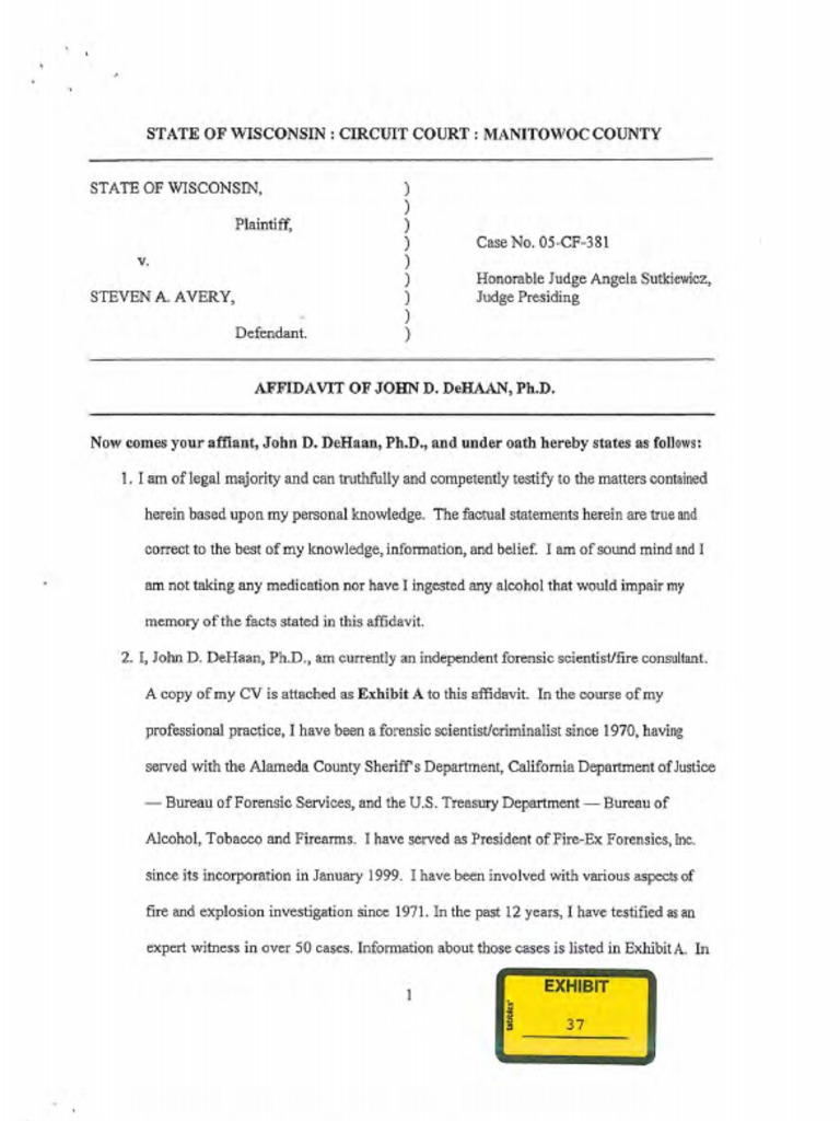 Dr. John Dehaan 2017 Affidavit RE Steven Avery Burn Barrel, Fire Pit