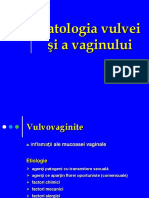 Patologia vulvei si vaginului.ppt