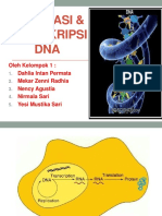 Replikasi Dan Transkripsi Dna-1