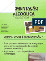 fermentacao alcoolica.pdf