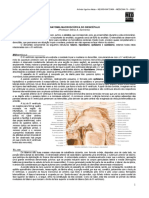 NEUROANATOMIA 10 - Macroscopia do Diencéfalo - MED RESUMOS 2012.pdf