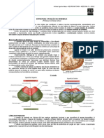 NEUROANATOMIA 09 - Estrutura e Funções Do Cerebelo - MED RESUMOS 2012 PDF