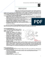 Formação Reticular: Estrutura e Funções do Sistema Ativador Reticular Ascendente